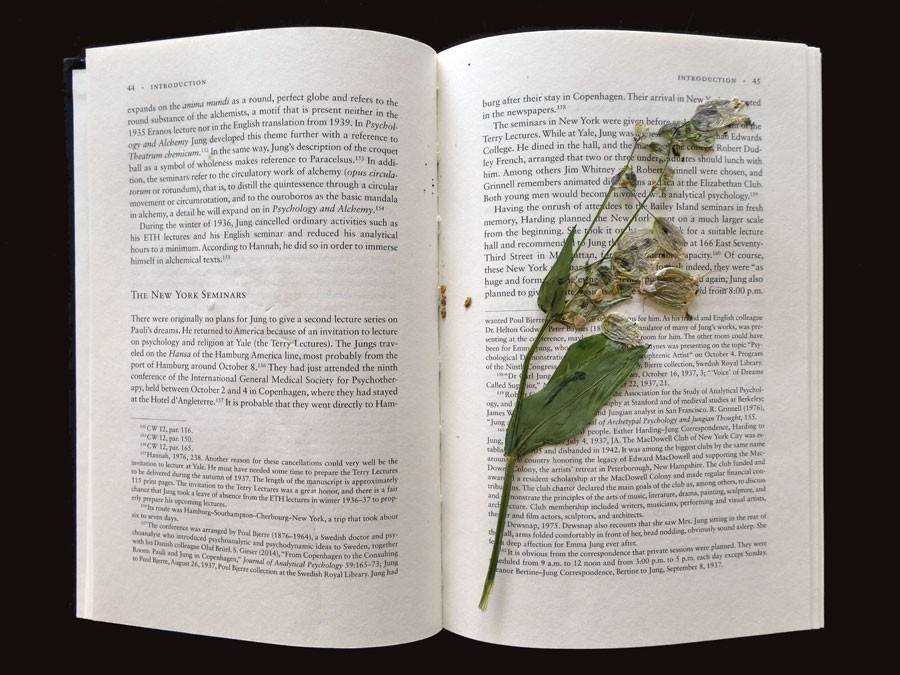 Some flowers from the area of CERN's Large Hadron Collider are pressed int the pages 44-45 of Carl Jung's book that analyses Wolfgang Pauli's dreams